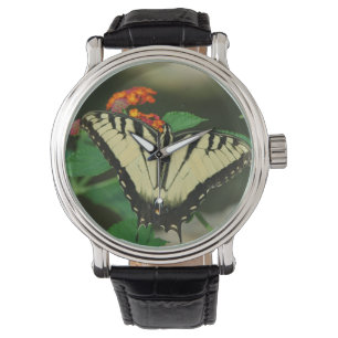 Montre de papillon