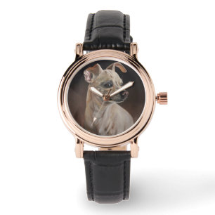 Montre de peinture de chien de chiwawa