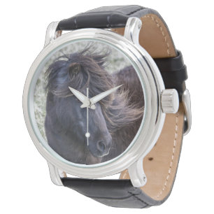 Montre de poney de Shetland