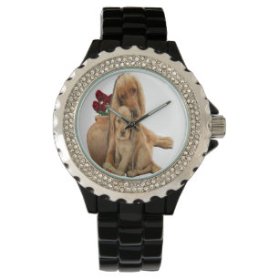 Montre de récupération Labrador