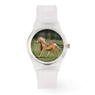 montre de rose de puissance de palomino