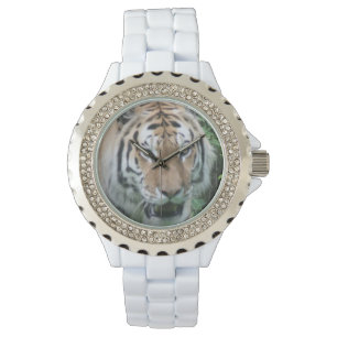 Montre de tigre
