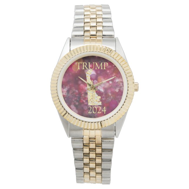MONTRE DELAWARE (devant)