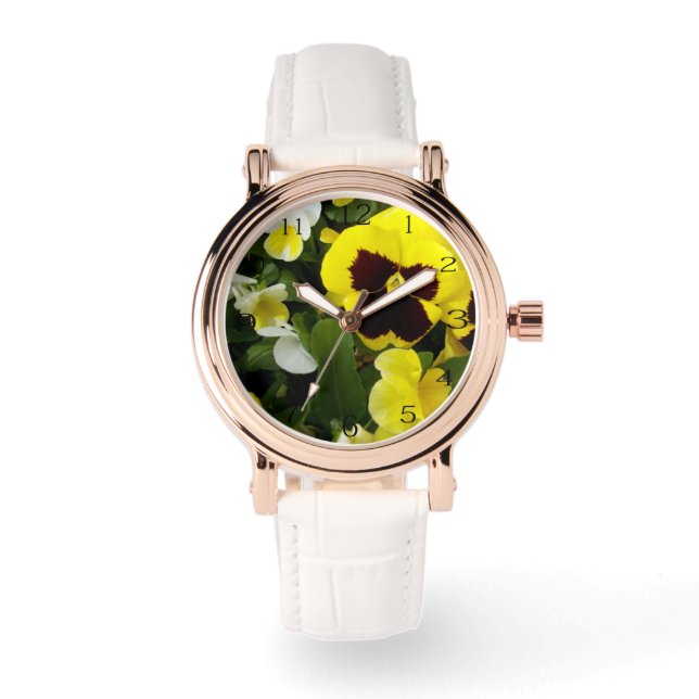 Montre Délices de Pensée Jaune Majestueux, (Recto)