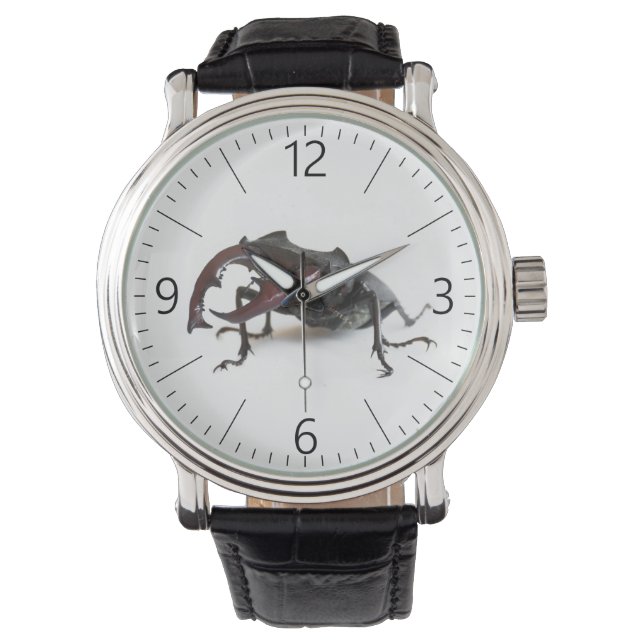 Montre Dendroctone du pin (devant)