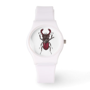 Montre Dendroctone du pin