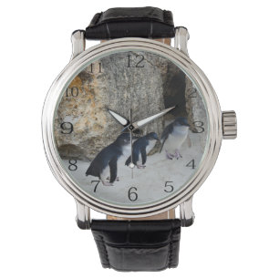 Montre Des Pingouins À Leur Maison De Plage,