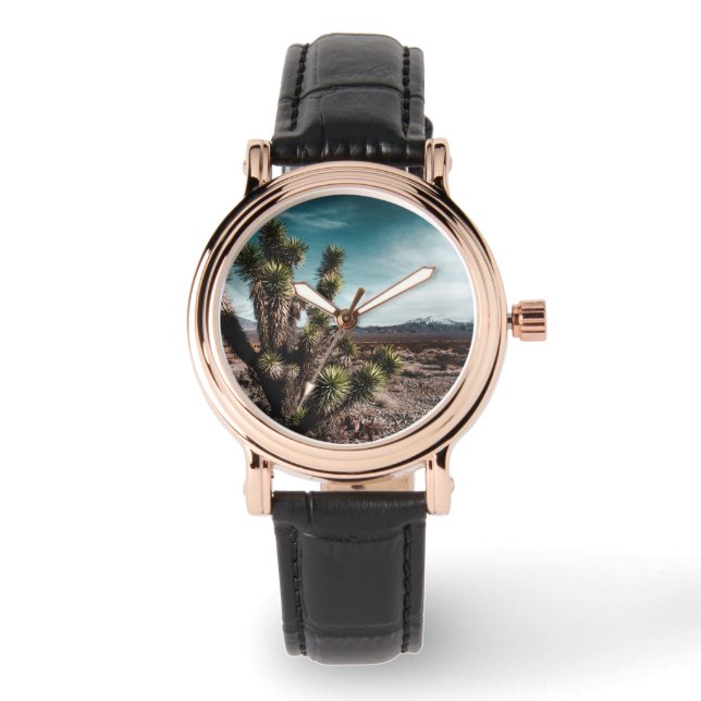 Montre Deserts | Cholla (Recto)