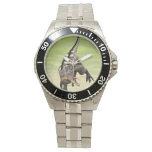 Montre Dessin préhistorique drôle d'Aucasaurus rugissant
