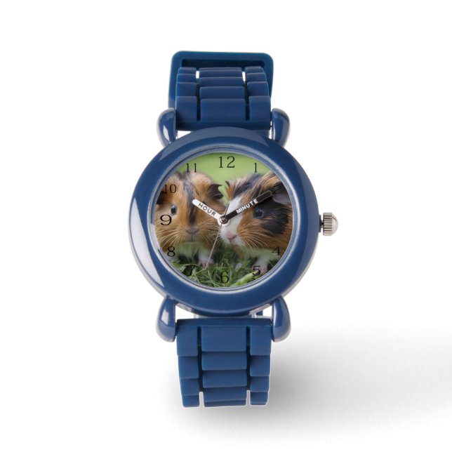 Montre Deux bébés cochons de Guinée Tortoiseshell, (Recto)
