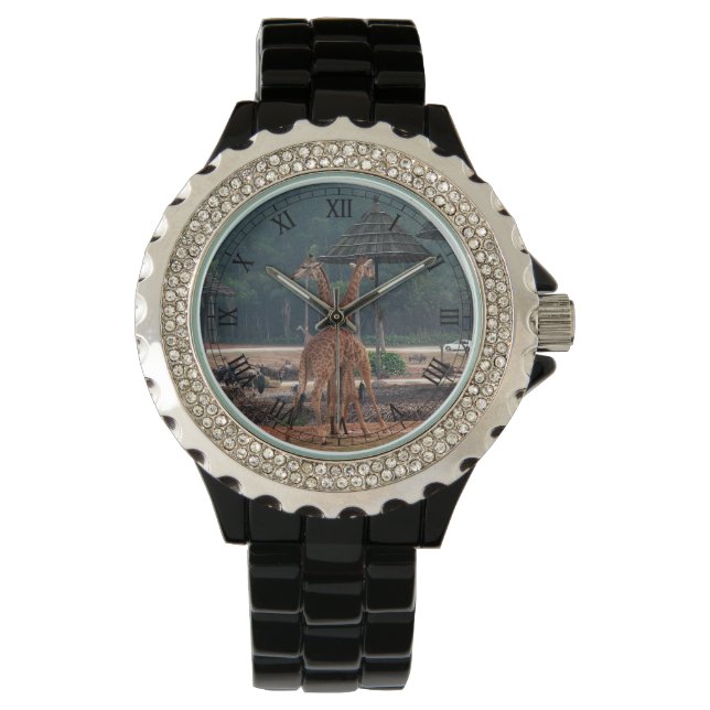 Montre deux girafes amoureuses (devant)