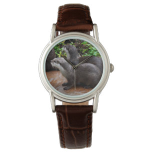 Montre Deux Loutres Affamées En Attente De Poisson, -