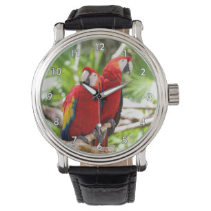 Montre Deux perroquets colorés sur une branche d'arbre