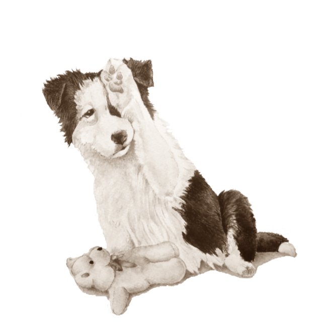 Montre dog portrait painting of cute border collie puppy (Créateur téléchargé)