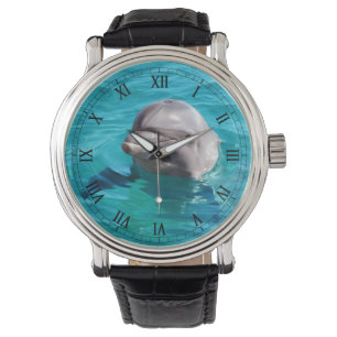 Montre Dolphin dans Blue Water Photo