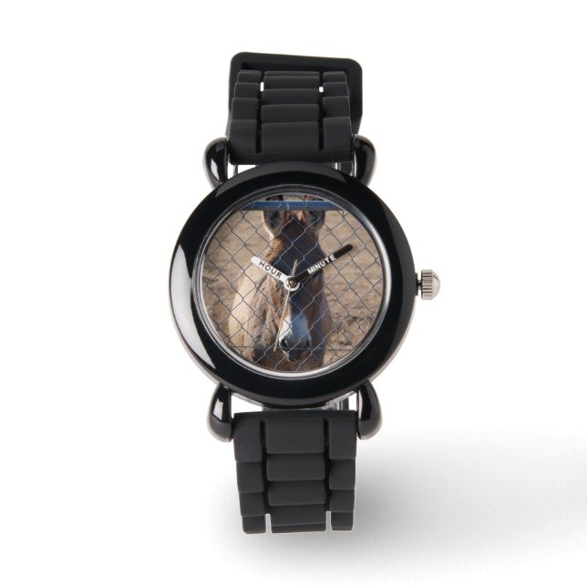 Montre Don the Donkey (Recto)