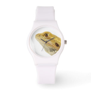 Montre Dragon barbu (Pogona Vitticeps)