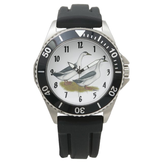 Montre Ducks : Blue Magpies (devant)