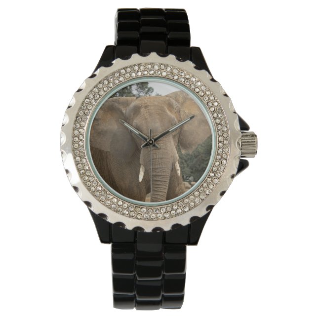 Montre Dumbo (devant)
