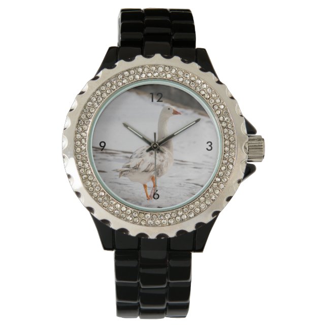 Montre Écorce d'oie des neiges (devant)