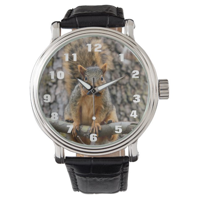 Montre Écureuil de fox (devant)