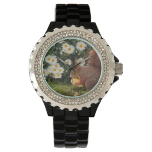 Montre Écureuil roux et fleurs