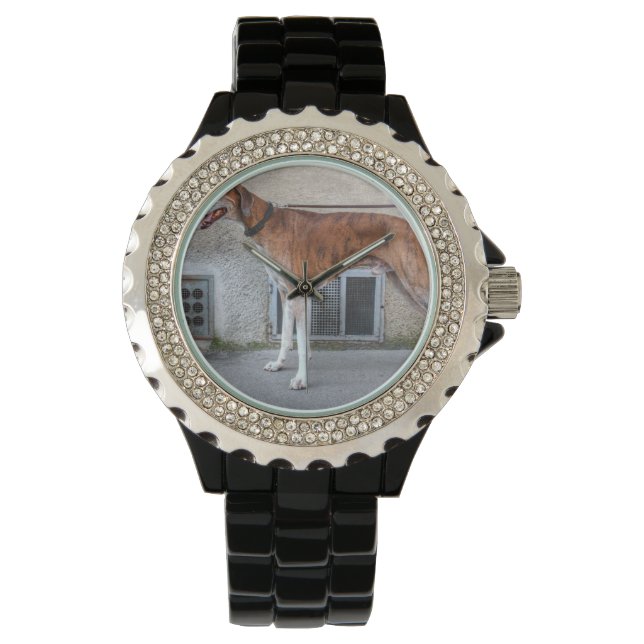 Montre Elder Brindle Greyhound (devant)