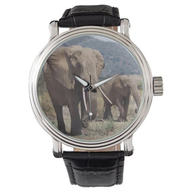 Montre Éléphant mère marchant avec un éléphant jeune (devant)