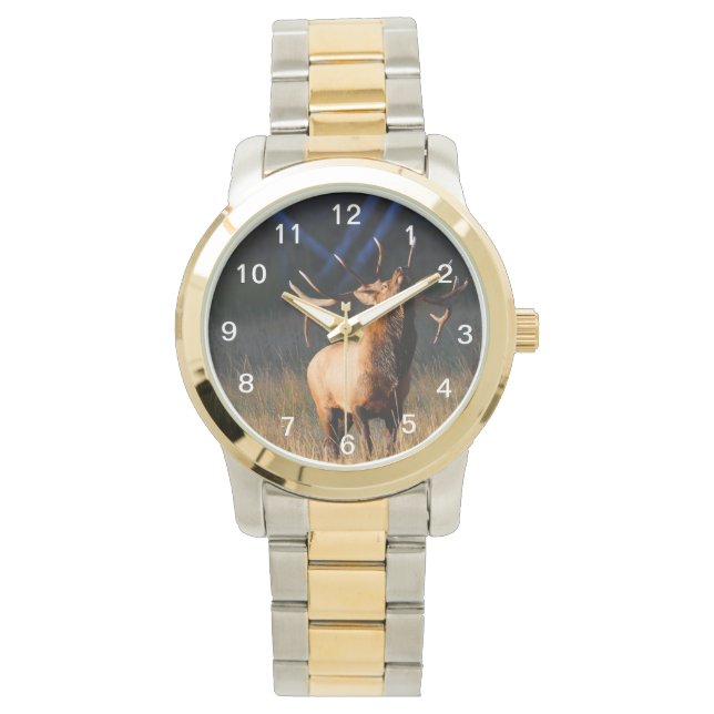 Montre Elk (devant)