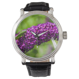 Montre énergie katydone