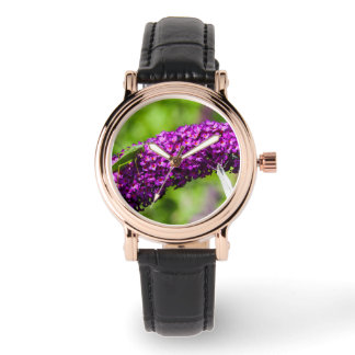 Montre énergie katydone