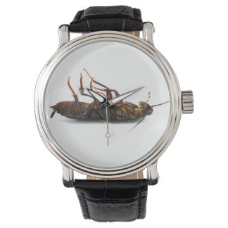 Montre Entraînement mort