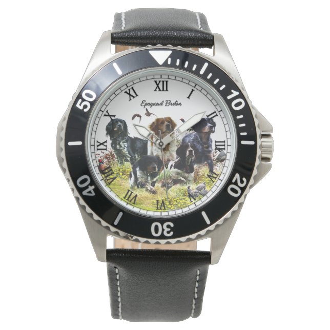 Montre Épagneul breton (devant)