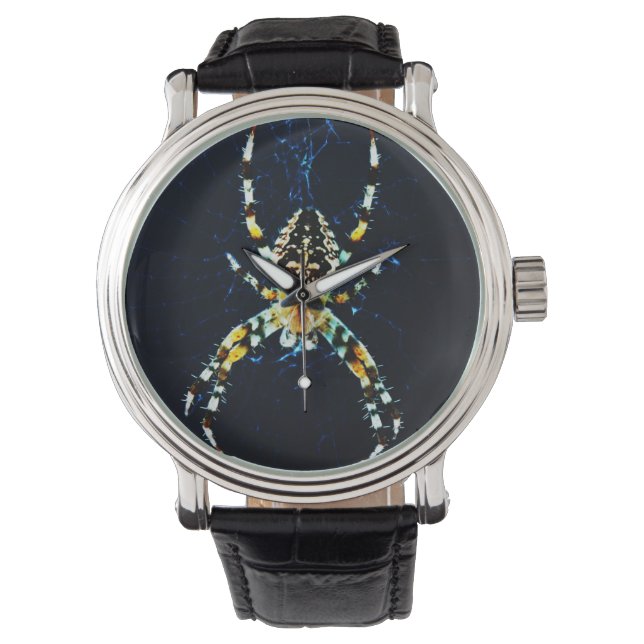 Montre Épouse d'araignée européenne (devant)