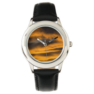 Montre épuisement des aigles