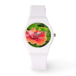 Montre États-Unis, Alabama, Theodore près de Mobile 4