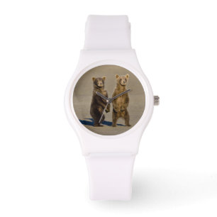 Montre États-Unis Alaska. Cubes d'ours Brown côtier