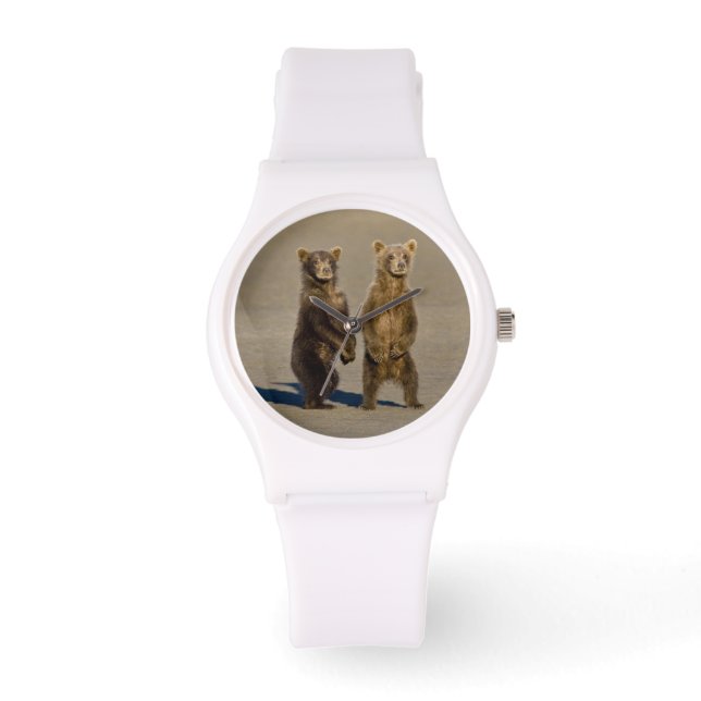 Montre États-Unis. Alaska. Oursons brun côtiers (Recto)
