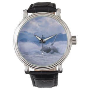 Montre États-Unis, Alaska, Tongass National Forest, Bossu