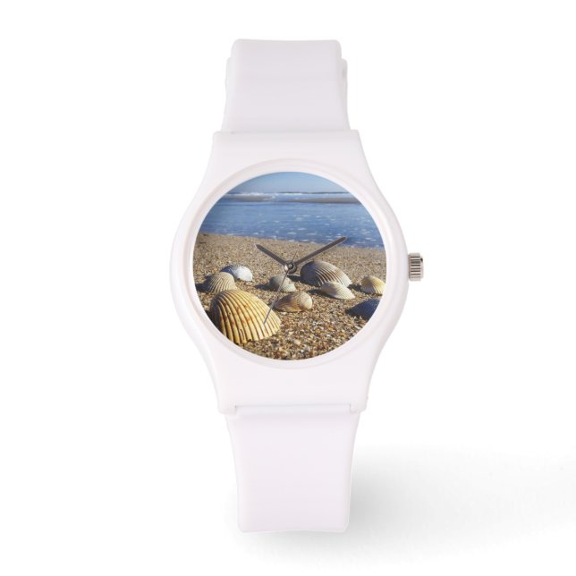 Montre États-Unis, Floride, coquillages côtiers (Recto)