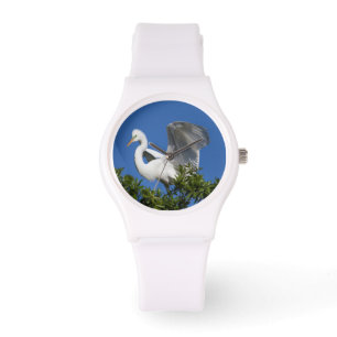 Montre États-Unis, Floride, St. Augustine, Aigrette