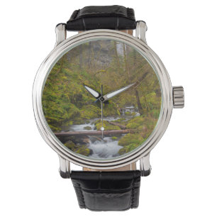 Montre États-Unis, Oregon, Columbia Gorge