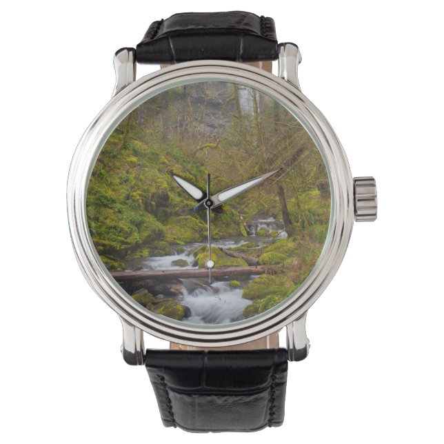 Montre États-Unis, Oregon, Columbia Gorge (devant)