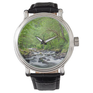 Montre États-Unis, Oregon, Columbia River Gorge, Tanner C