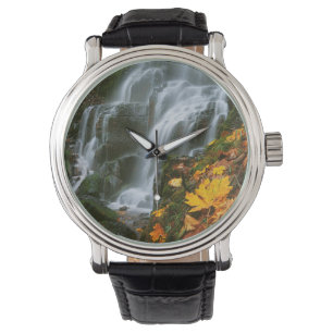 Montre États-Unis, Oregon, Fairy Falls, Columbia River Go
