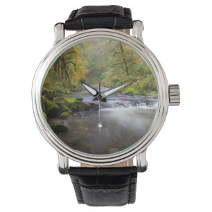 Montre États-Unis, Oregon, Gorge du Columbia, Tanner Cree