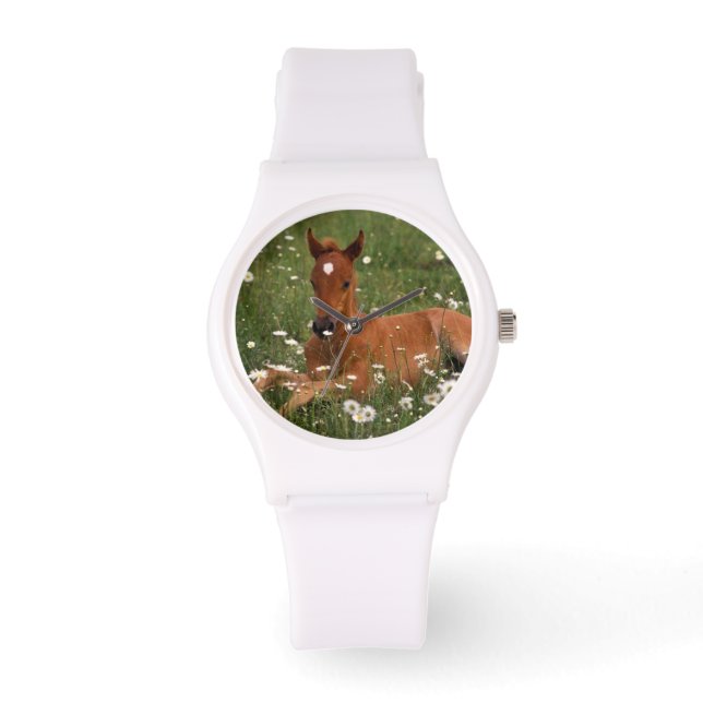 Montre États-Unis, Oregon, Poney arabe. (Recto)