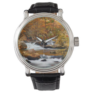 Montre États-Unis, Tennessee. Rushing Mountain Creek