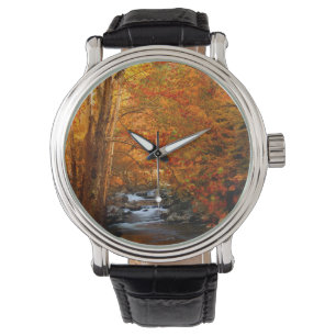 Montre États-Unis, Tennessee. Rushing Mountain Creek 2