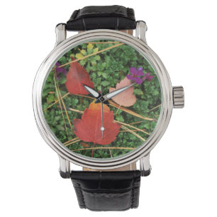 Montre États-Unis, Washington, comté de Spokane, Feuilles